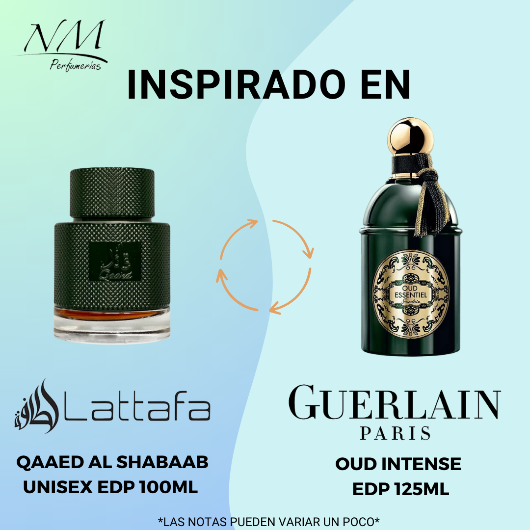 Qaaed Al Shabaab Lattafa