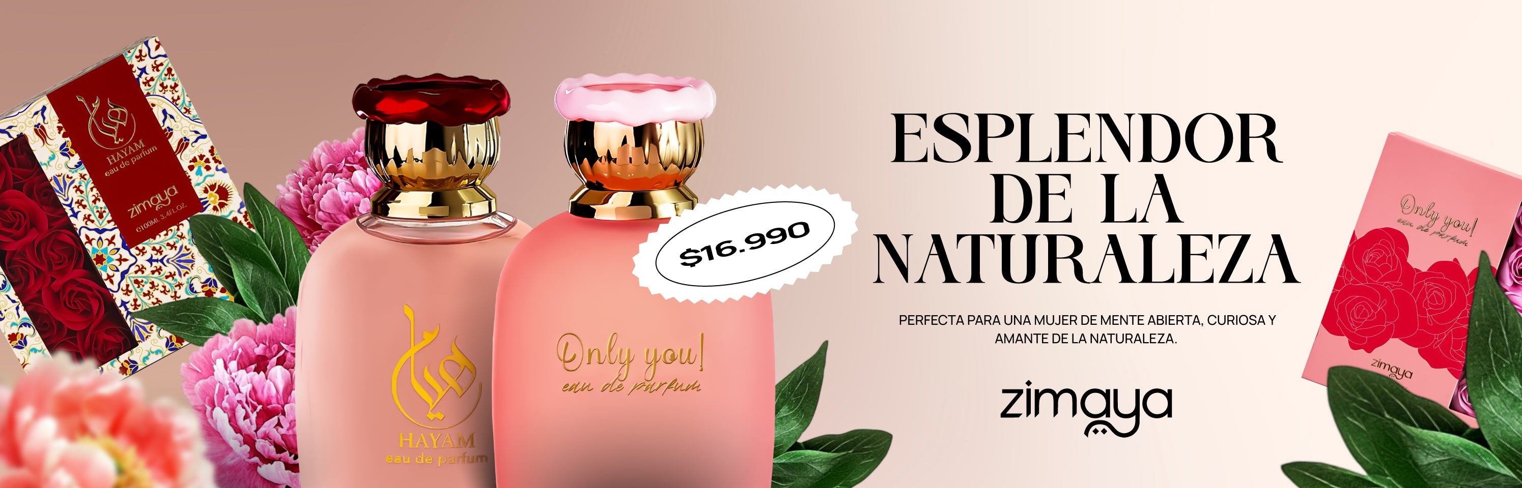 Zimaya