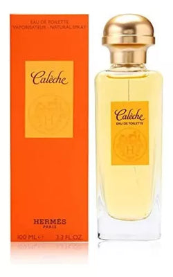 Kelly Caleche Hermes